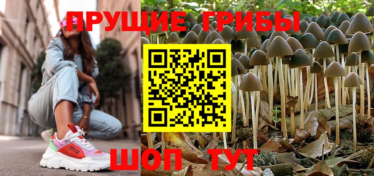 Богородск  Галлюциногенные грибы Psilocybine cubensis  Вход с VPN 