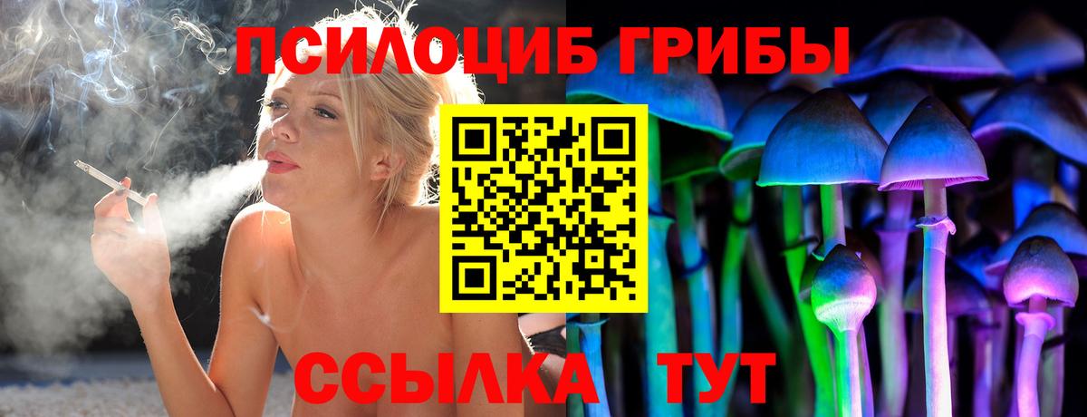 Псилоцибиновые грибы Cubensis Богородск